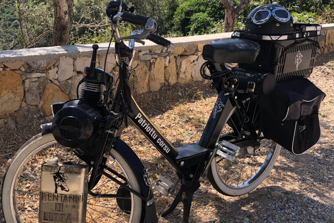 SOLEX 3008 Patriote occasion